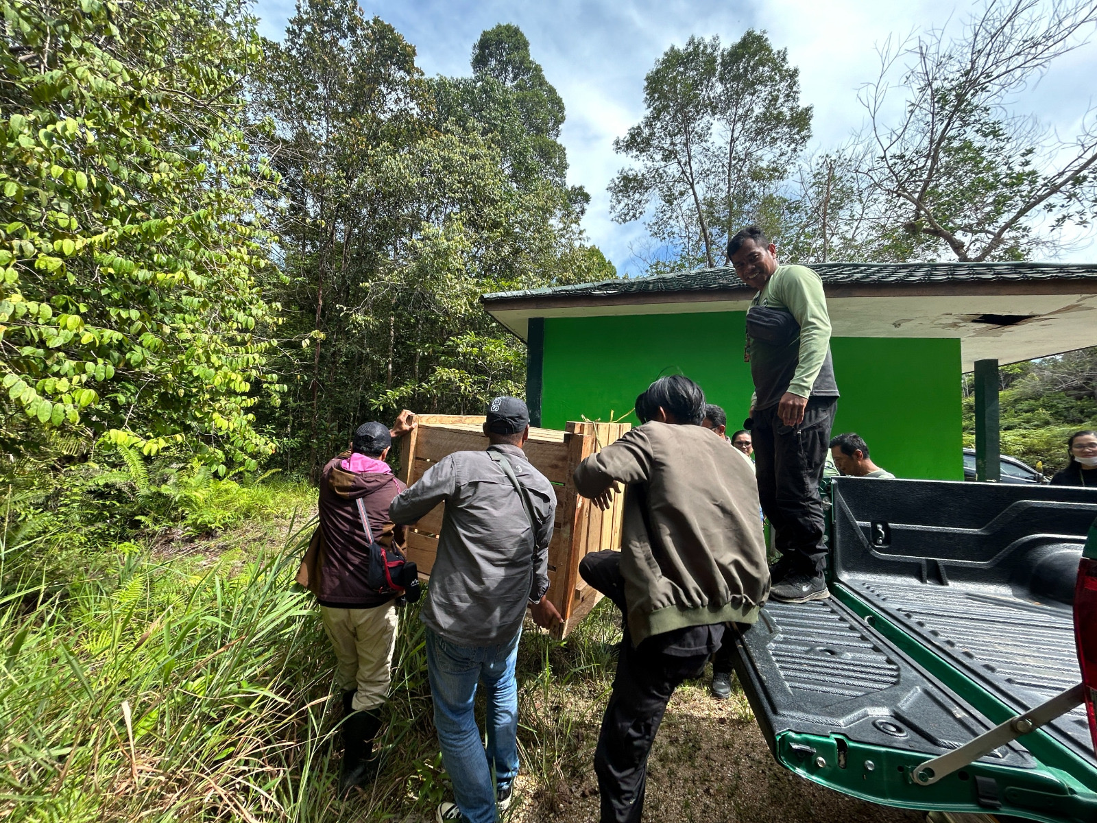 KPH Tarakan LEPASLIAR : Pelepasliaran Bekantan di wilayah lindung Tarakan oleh tim KPH Tarakan-BKSDA Kaltim, Jum&rsquo;at (17/4) siang