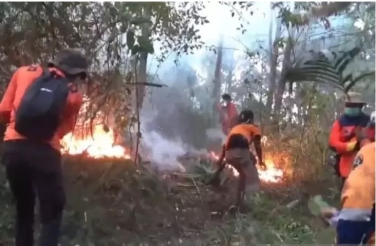 KEBAKARAN LAGI: Terjadi karhutla di kawasan Gunung Batok yang masih berada di area TNBTS, Sabtu (22/6). (Sumber gambar: Louis Rika/Antara)