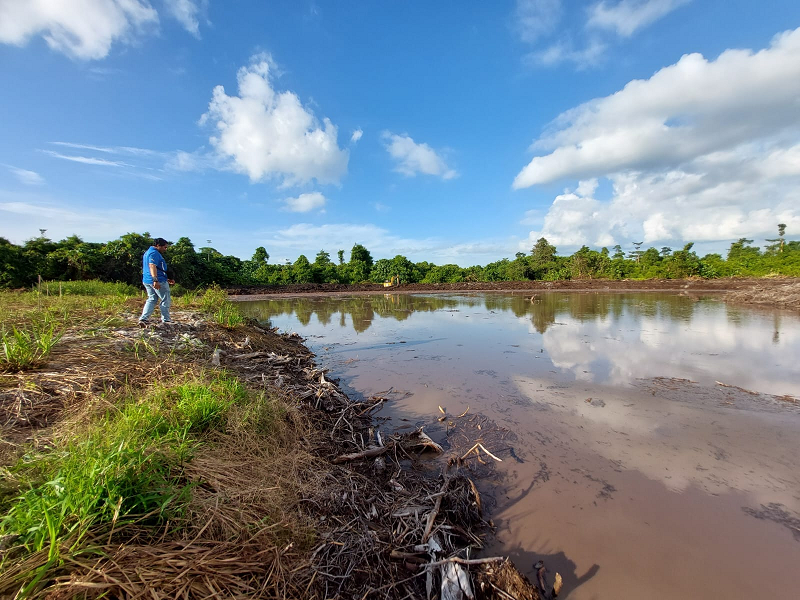 TERINTEGRASI: Tampak kawasan embung yang ada di kawasan Kebun Raya Bulungan.