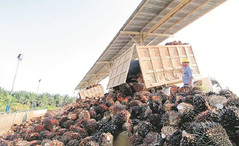 ISTIMEWA TAGIH: Kaltim bisa bernafas lega. Upaya menagih DBH akhirnya membuahkan hasil.