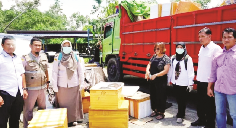 ISTIMEWA TAK RESMI: Daging babi tanpa dokumen yang diamankan tim karantina.