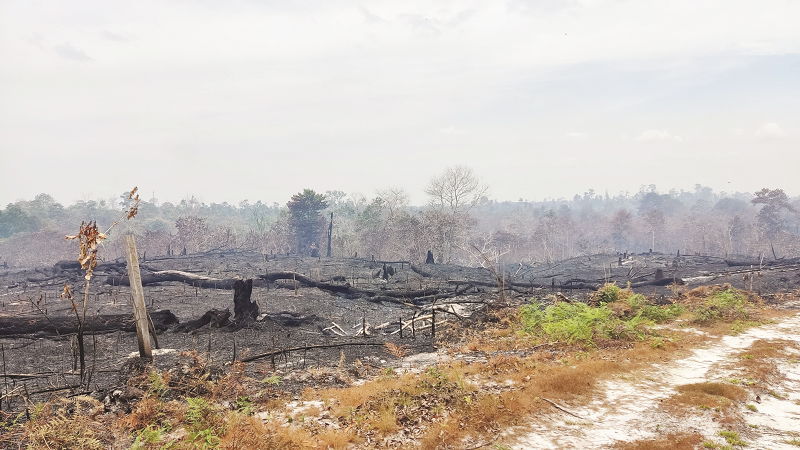 WAN K/RADAR KALTARA KABUT: Kondisi udara di Tanjung Selor Ibu Kota Kaltara pada Rabu (18/9).