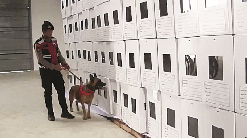 ISTIMEWA JAMIN AMAN: Unit Satwa K-9 Ditsamapta Polda Kaltim dikerahkan melakukan sterilisasi gudang logistik KPU Balikpapan.