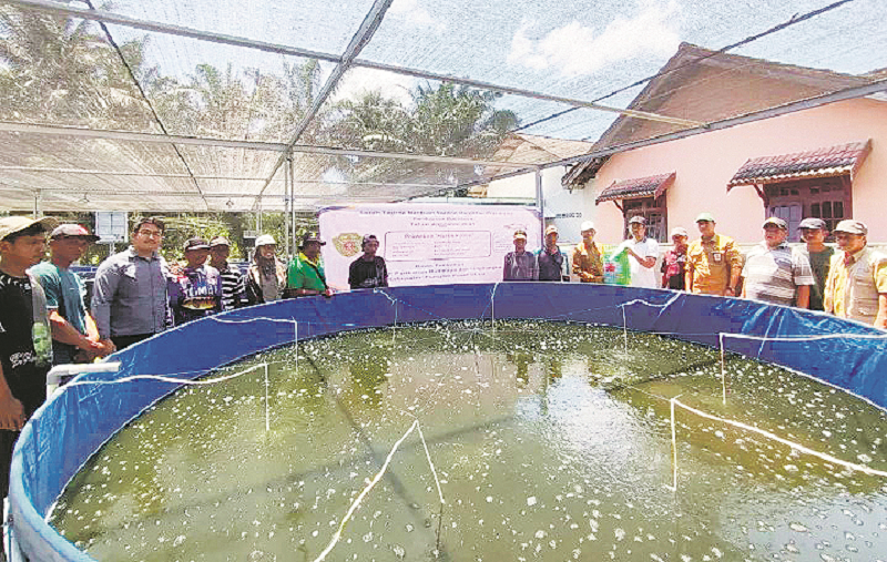 ISTIMEWA BUDI DAYA PERIKANAN : Diskan PPU secara simbolis menyerahkan bantuan berupa bibit ikan hingga pakan serta terpal bulat lengkap dengan aeratornya kepada Pokdakan Haruan Jaya Desa Sebakung Jay