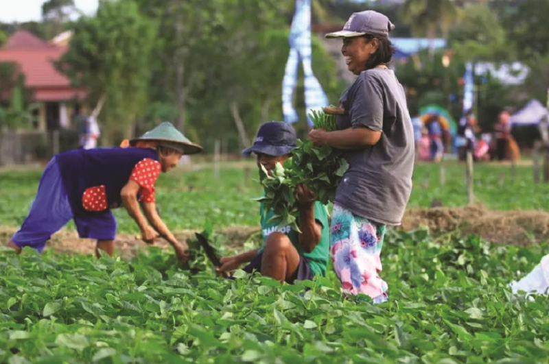 DOK/KP PERMINTAAN TINGGI: Sektor holtikultura makin menjanjikan untuk digeluti. Terlihat dari daya beli petaninya yang terus meningkat.