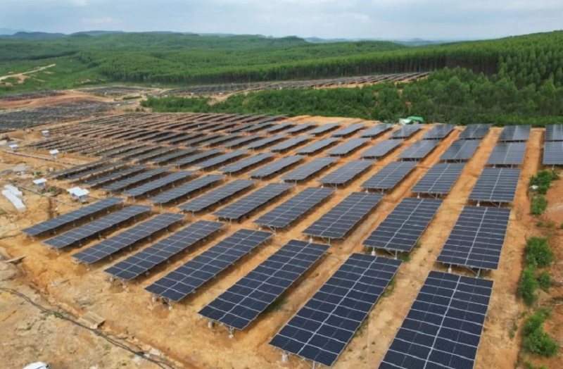 ISTIMEWA TENAGA SURYA: PLTS berkapasitas 50 MW di Ibu Kota Nusantara (IKN) guna mewujudkan kota hutan cerdas yang berkelanjutan, hijau, dan ramah lingkungan.