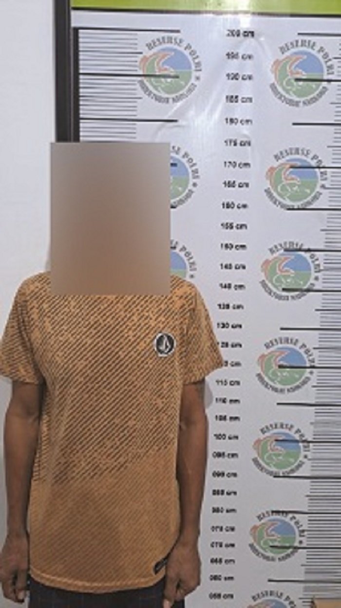 DIAMANKAN : Seorang pria diamankan Ditresnarkoba Polda Kaltara.