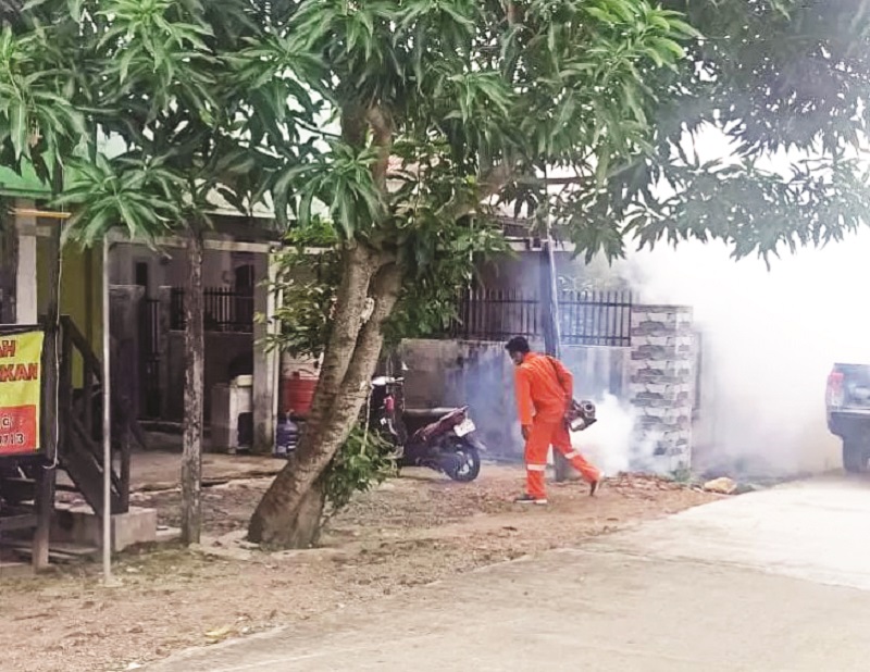 ADIEL KUNDHARA/KP ANTISIPASI DBD: Fogging area hanya memberantas jentik nyamuk DBD, diperlukan pemberantasan sarang nyamuk melalui kegiatan 3M plus.