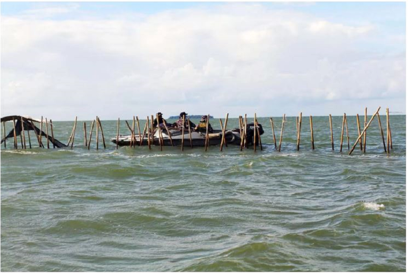 BONGKAR: Nelayan membongkar pagar laut yang terpasang di kawasan pesisir Kabupaten Tangerang, Banten, Sabtu (18/1/2025). (Dery Ridwansah/ JawaPos.com)