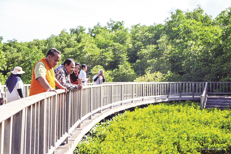 ISTIMEWA BELAJAR: Nicko Herlambang (pakai rompi) bersama rombongan melihat dari dekat tahura mangrove Ngurah Rai, Bali.