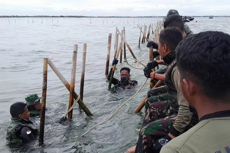 DIBONGKAR: Lebih dari setengah pagar laut sepanjang 30,16 kilometer di wilayah Tangerang, Banten sudah berhasil dibongkar oleh TNI AL bersama nelayan dan instansi terkait lainnya. (TNI AL)