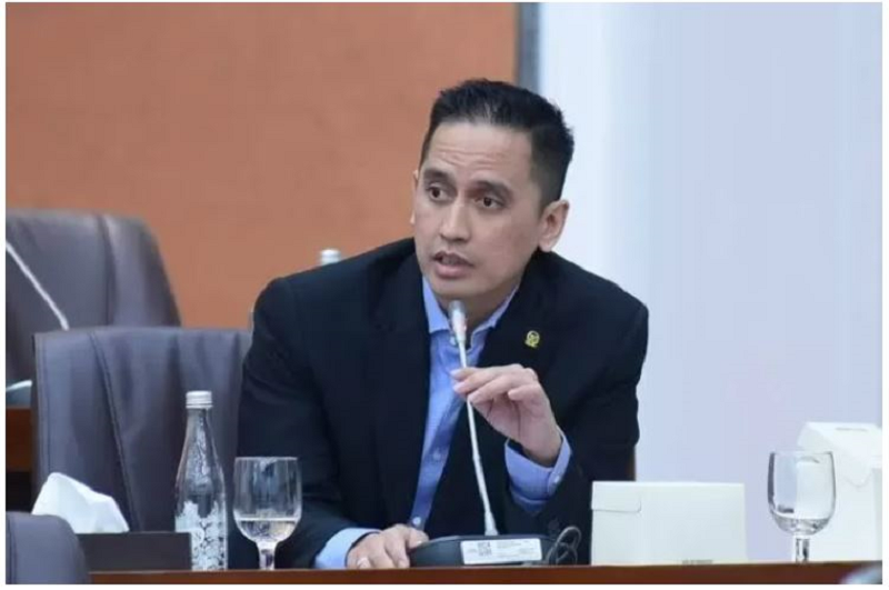 Anggota Komisi VI DPR RI Firnando Hadityo Ganinduto (Istimewa).