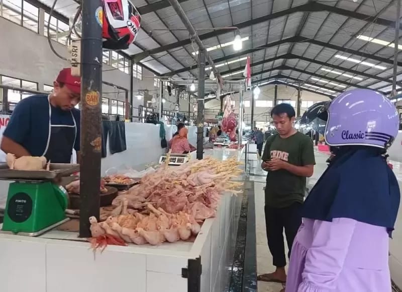 TINGKATKAN POPULASI : Tampak aktivitas pedagang ayam di Pasar Induk, Tanjung Selor.