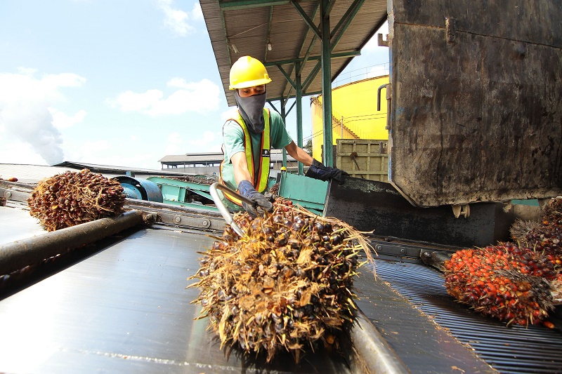 Pabrik pengolahan CPO milik PT Waru Kaltim Plantation di Desa Bangun Mulya, Kecamatan Waru, PPU.  PT Waru Kaltim Plantation (WKP)  merupakan anak usaha PT Astra Agro Lestari (PT AAL).