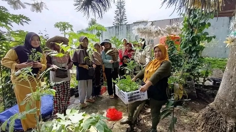 KP SEJAHTERA: P2L memanfaatkan lahan kosong hingga pekarangan rumah. Hasil panen diutamakan untuk ketahanan pangan warga.
