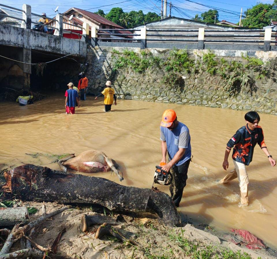 PEMBERSIHAN: Personel BPBD Nunukan membersihkan sampah yang tertahan di jembatan Pasar Baru, Nunukan Utara.