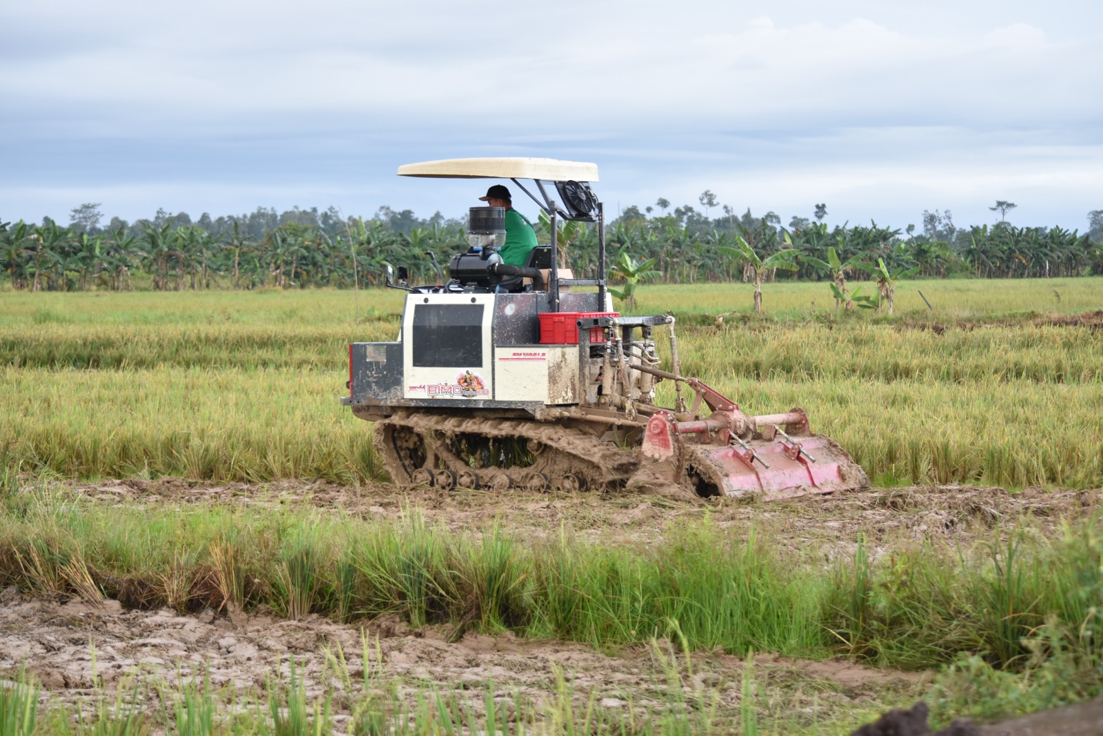MEKANISASI: Soerang petani di Sajau Hilir saat mengoperasikan alat mekanisasi pertanian. FOTO:&nbsp;DKIP BULUNGAN