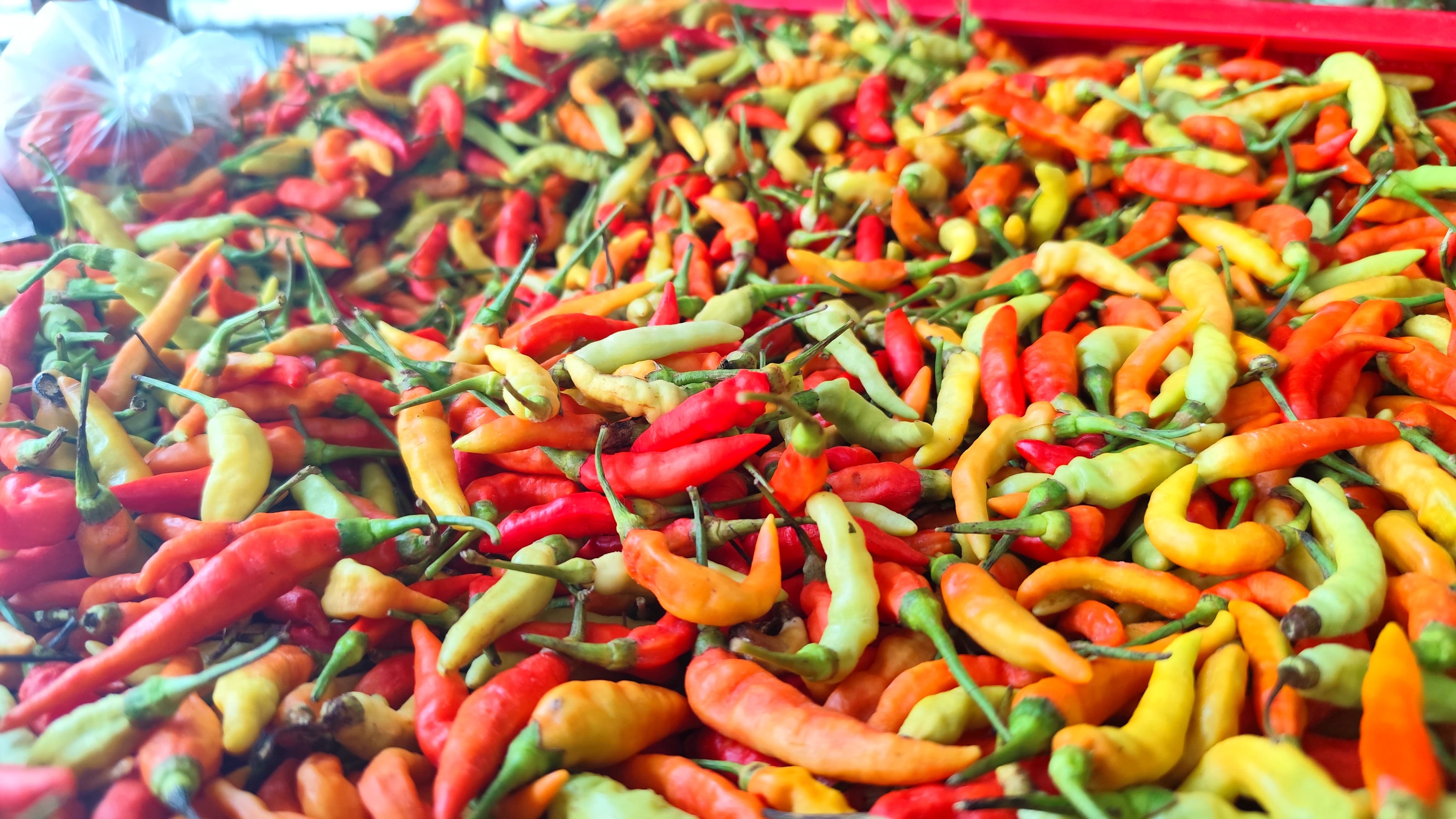 BAHAN POKOK: Cabe Rawit yang dijual pedagang. FOTO: NATANAEL/RADAR TARAKAN