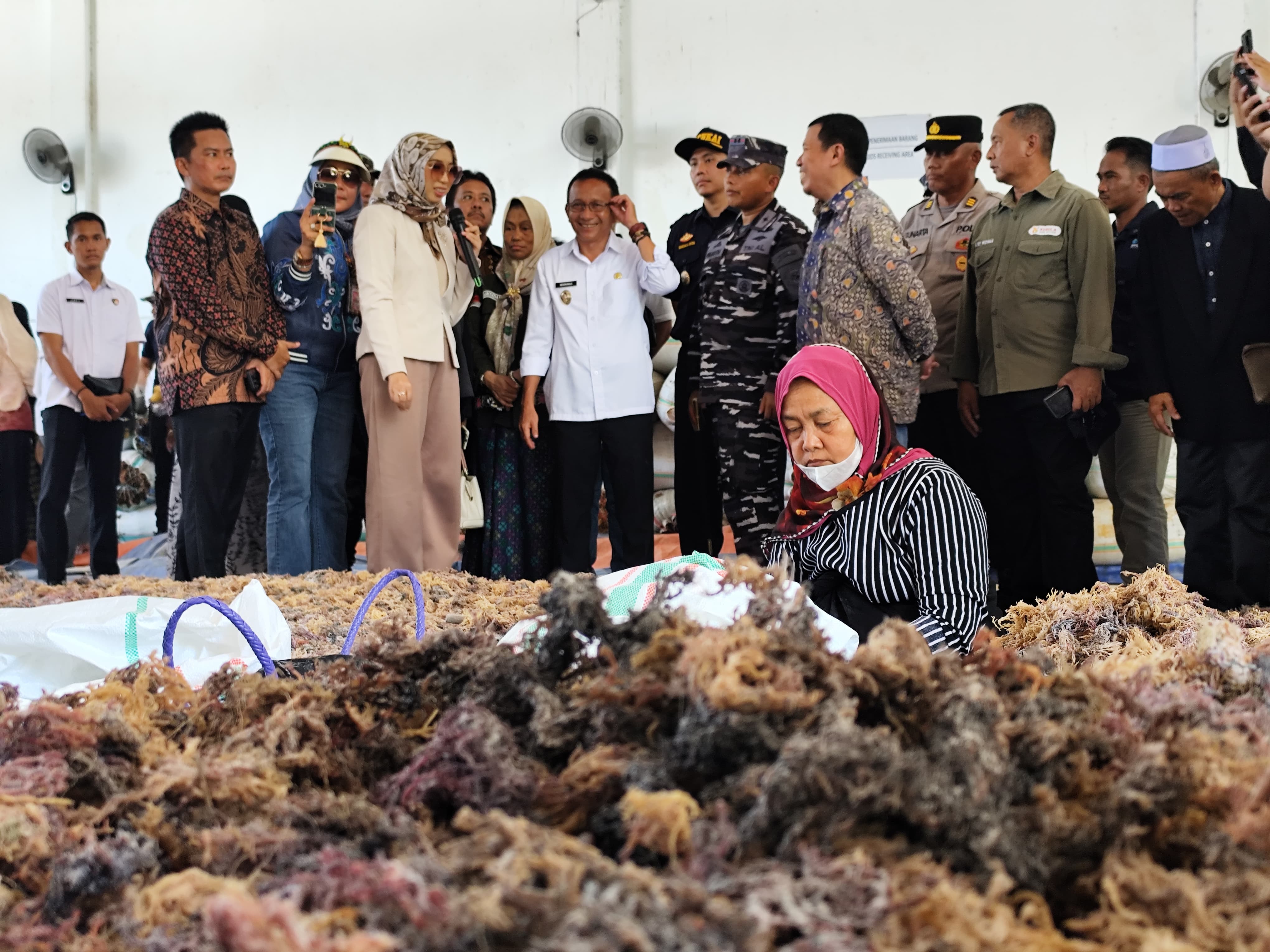 PRODUK UNGGULAN: Wakil Bupati Nunukan Hermanus saat melihat rumput laut yang akan diekspor ke Korea Selatan. FOTO:&nbsp;ASRULLAH