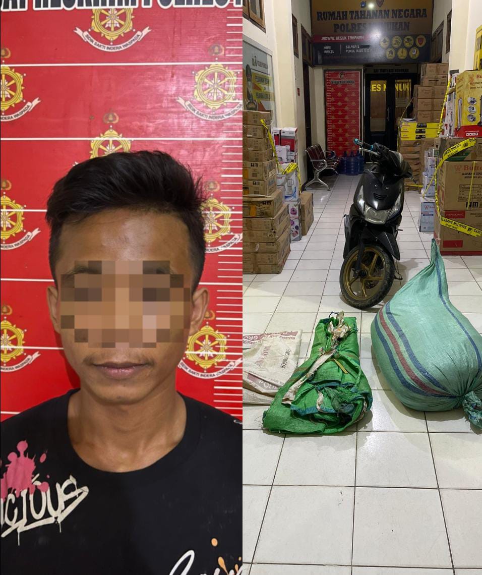 DOK POLRES NUNUKAN DIAMANKAN: IS (30) pelaku pencurian rumput laut telah diamankan di Mako Polres Nunukan.