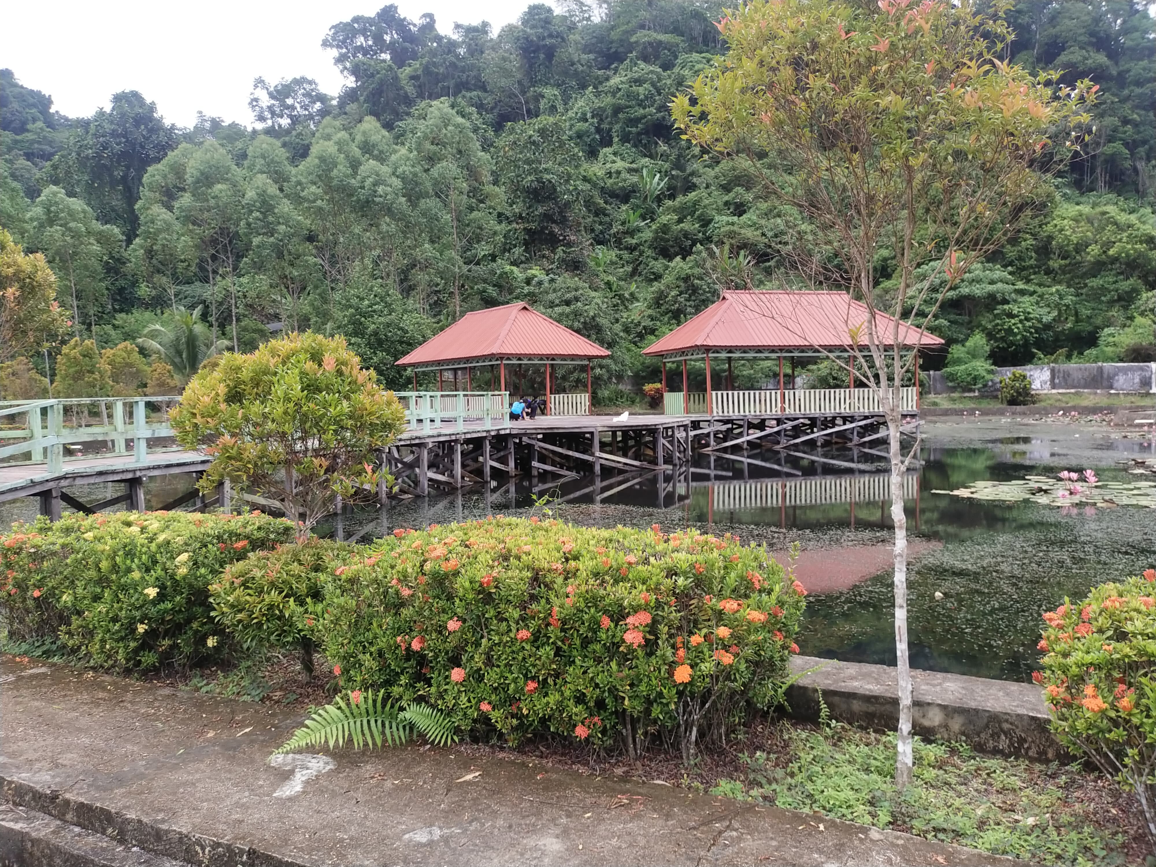 DIPA/ RADAR TARAKAN PEDULI LINGKUNGAN: Salah satu Fasilitas dalam mendukung Lingkungan Asri, Gazebo dan Taman Kolam di Sekolah Adiwiyata SMAN 8 Malinau.