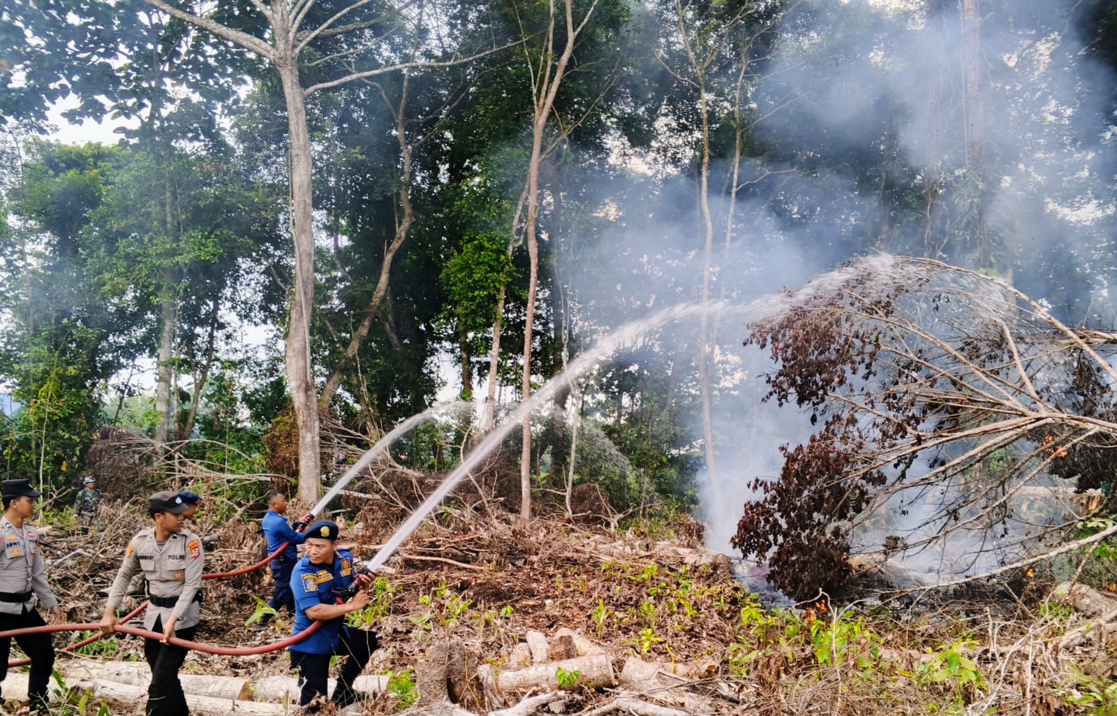 Api Membakar Lahan di Sebidai Tana Tidung, Tim Gabungan Bergerak Cepat ...