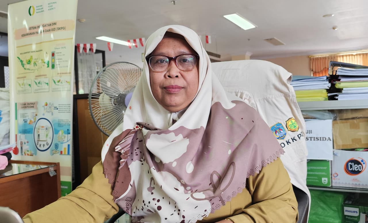 Kepala Bidang Ketahanan Pangan DKPP Tarakan, Wiwiek Aisyiyah, FOTO:NATANAEL/RADAR TARAKAN