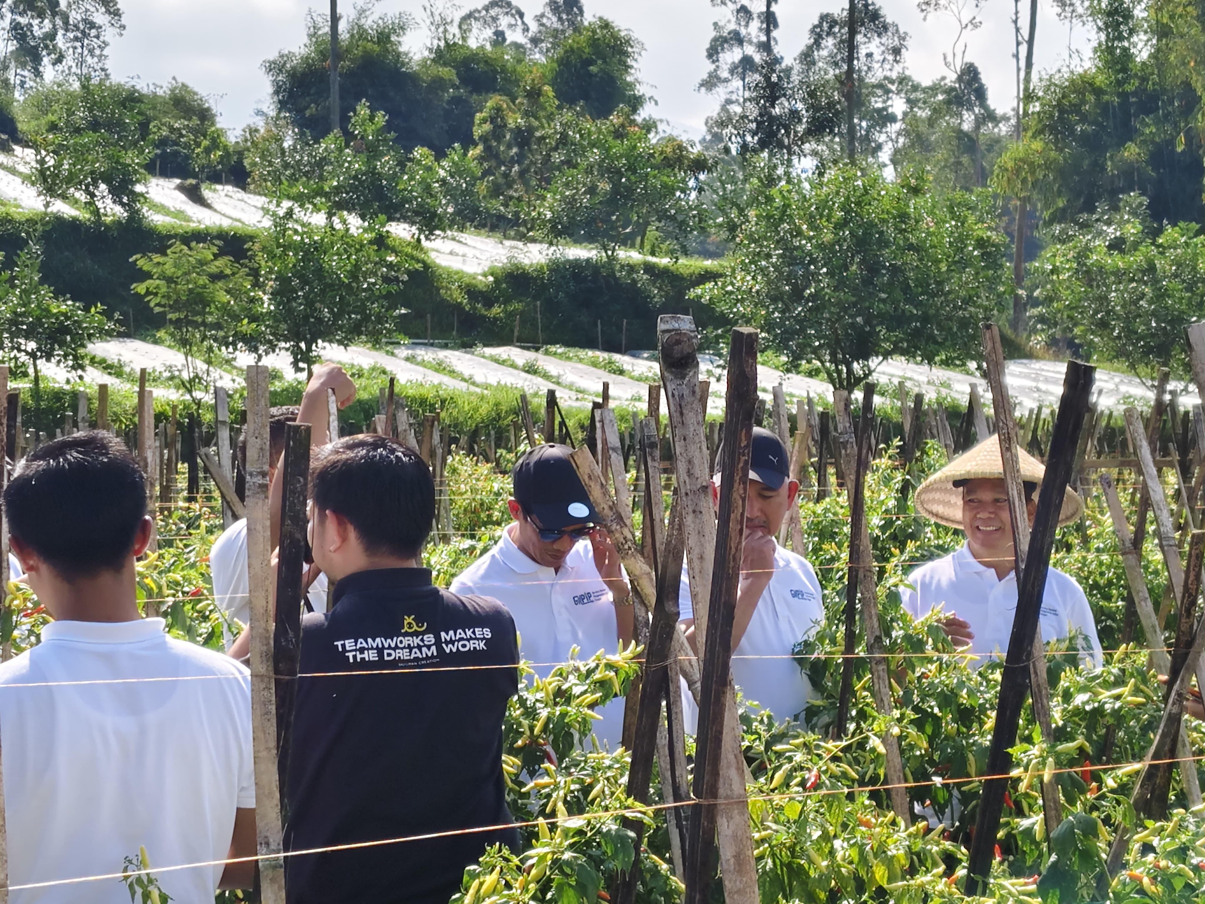 SMART : Wabup Bulungan mengunjungi salah satu kawasan smart farming di Jawa Barat FOTO:DKIP