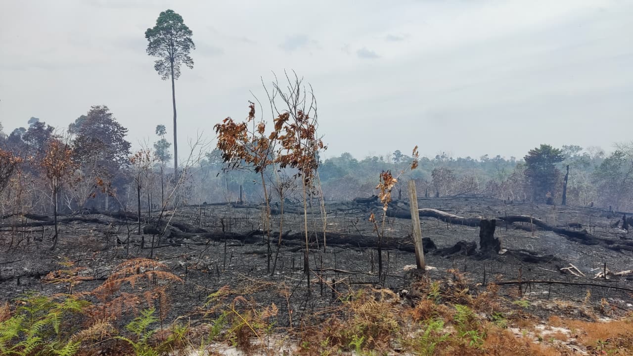 DOKUMEN: Karhutla menjadi salah satu potensi bencana yang diantisipasi di Kaltara, FOTO: RADAR TARAKAN