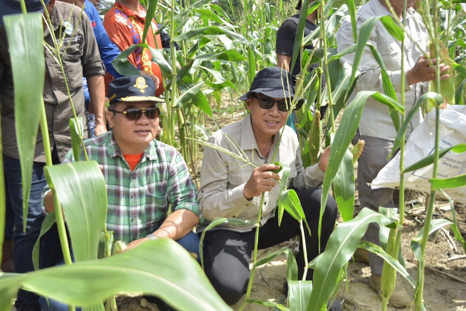 PERTANIAN : Wabup dan Sekda Bulungan mengunjungi langsung kawasan pengembangan Agrokompleks di Desa Long Buang FOTO:Taslee/Radar Tarakan