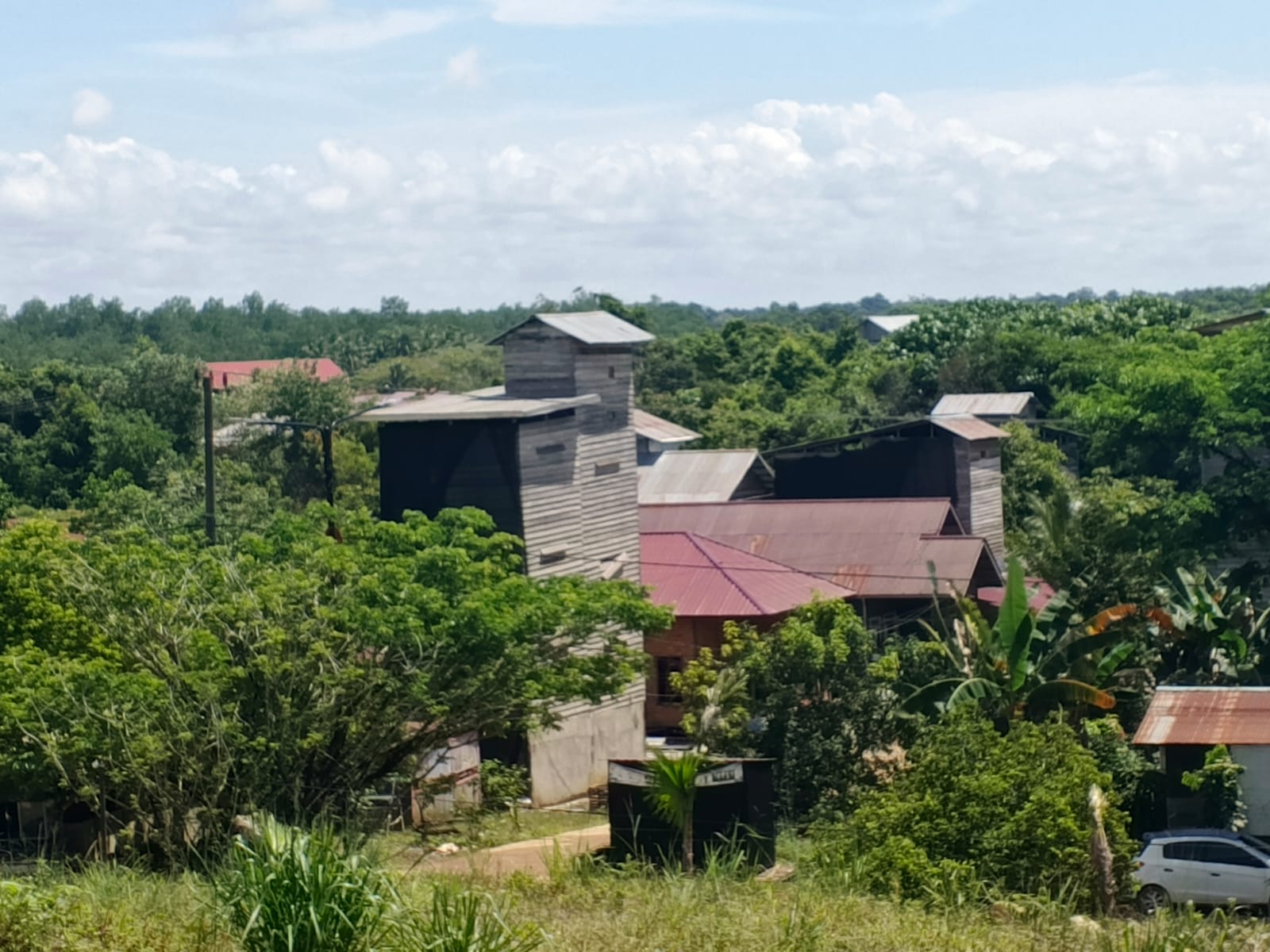 &lrm; &lrm;HARGA ANJLOK: Pemilik sarang burung walet mulai beralih ke investasi sawit dan telur FOTO: SOPIAN/RADAR TARAKAN &lrm;