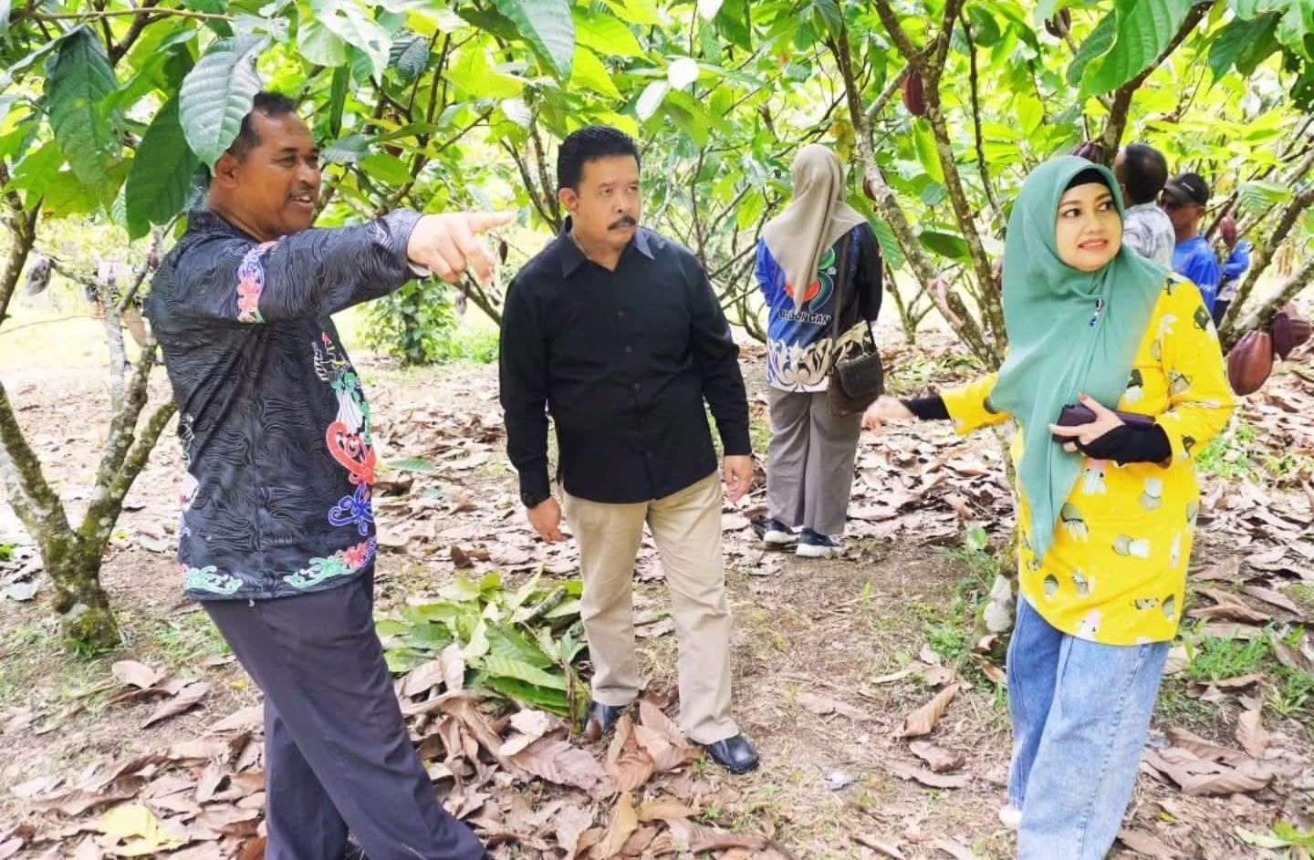 PENINJAUAN LAPANGAN : Kepala Disperta Bulungan meninjau kebun kakao di Bantaeng