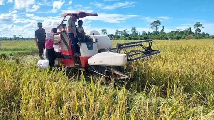 ANTISIPASI : Tampak kawasan pertanian di wilayah Bulungan