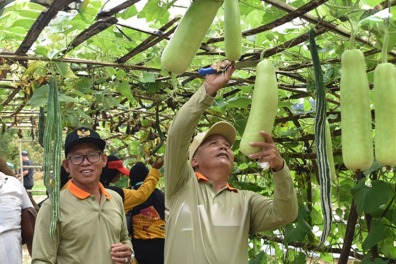 WISATA : Wabup Bulungan Kilat, mengunjungi salah satu objek wisata petik sayur di Desa Maritam, Kecamatan Sekatak, FOTO:Taslee/Radar Tarakan