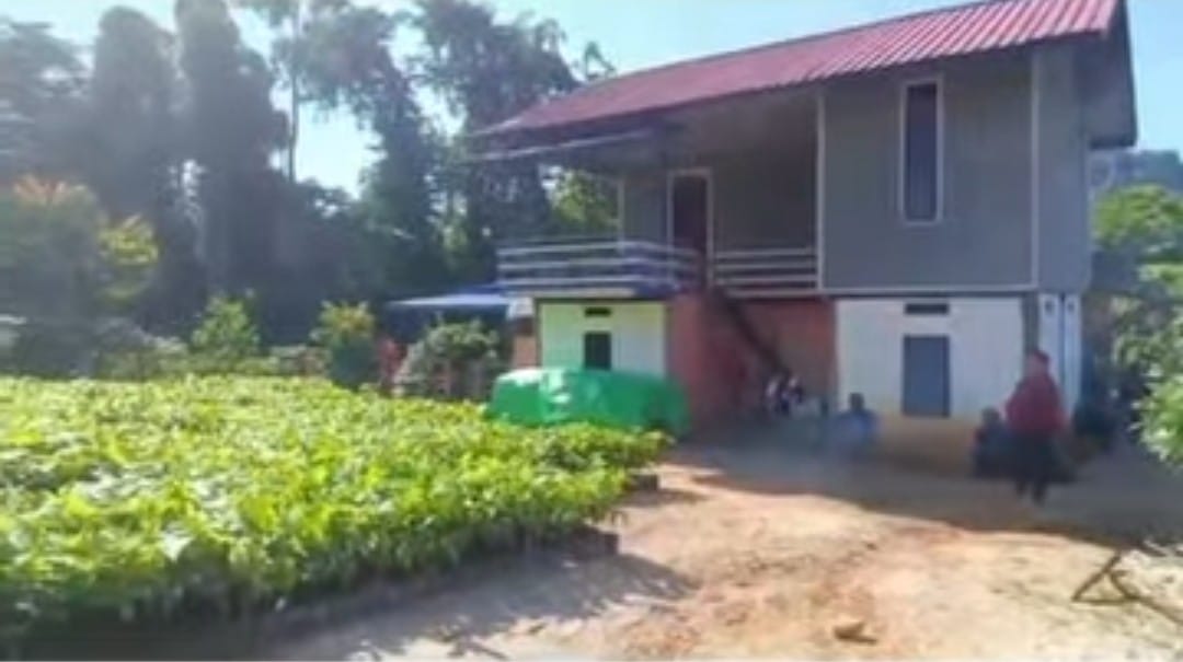 PERKEBUNAN : Sebanyak 20 ribu bibit kakao disalurkan kepada petani