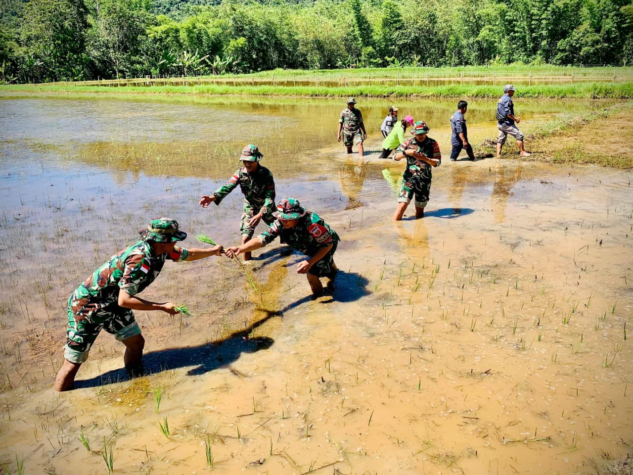 ASTA CITA: Berbagai upaya terus dilakukan untuk mewujudkan swasembada pangan di Kaltara. FOTO: DOK RADAR TARAKAN
