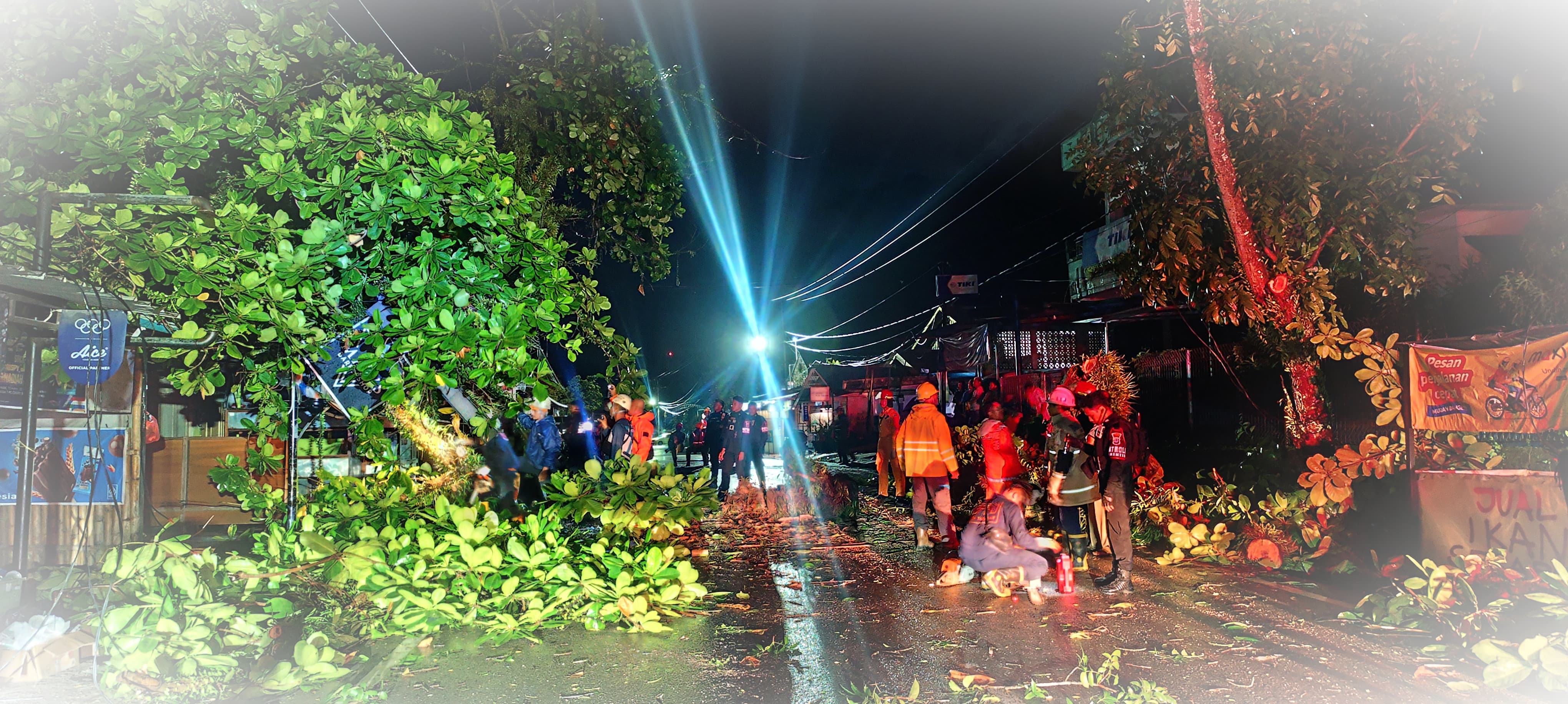 NATANAEL/RADAR TARAKAN. SIAGA: BPBD Tarian bersama tim gabungan melakukan pembersihan pohon tumbang