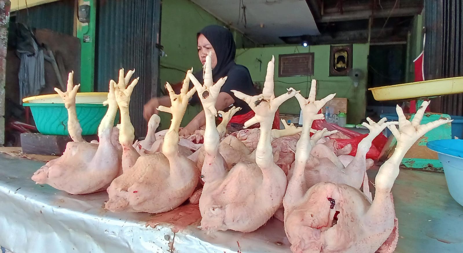JADI POLEMIK: Pedagang daging ayam lokal harapkan pemerintah daerah mengontrol peredaran ayam beku di Kota Tarakan.