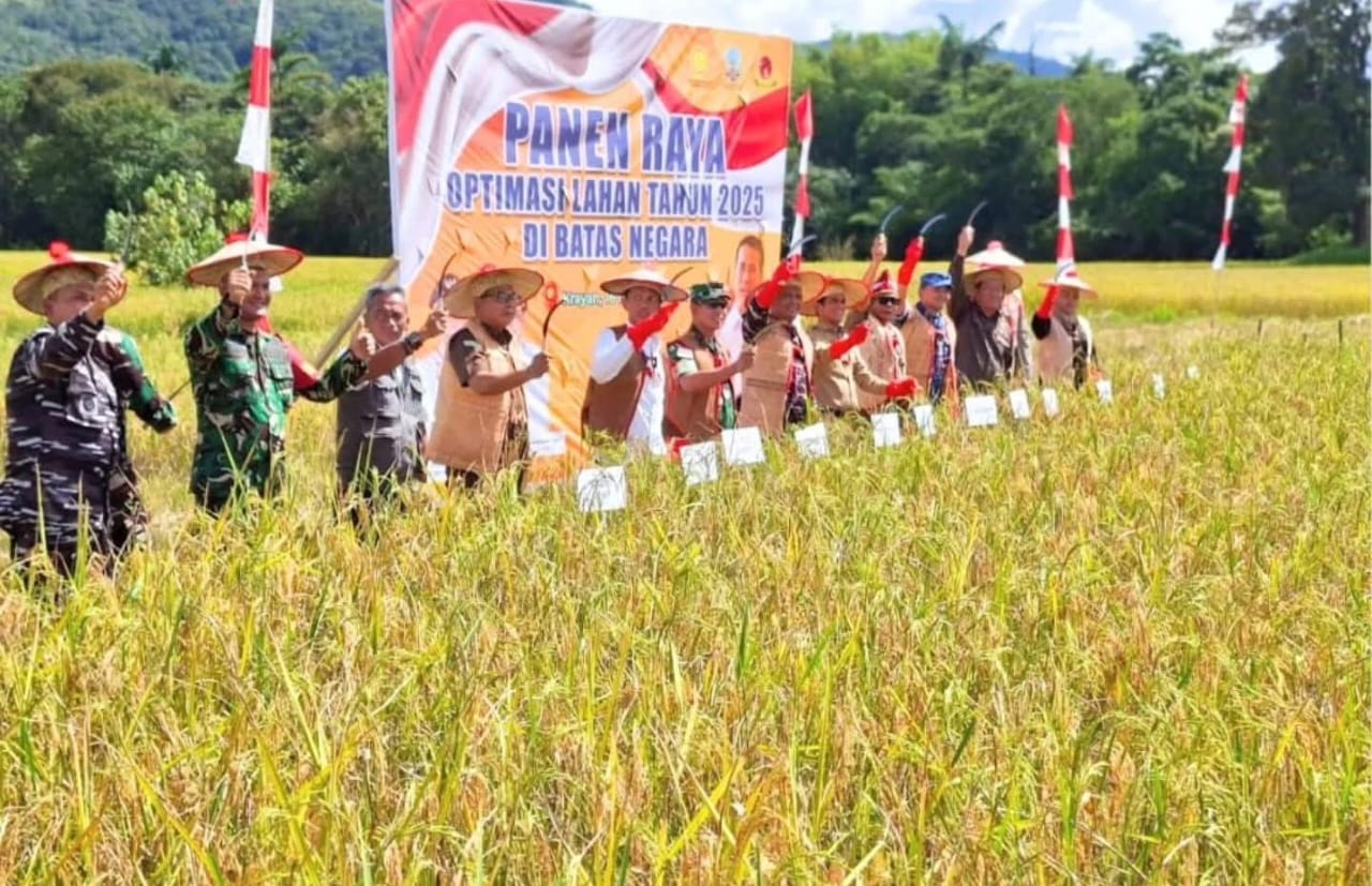 SWASEMBADA: Bupati Nunukan, H. Irwan Sabri bersama Gubernur Kalimantan Utara (Kaltara), Dr. &nbsp;H. Zainal Arifin Paliwang, S.H, M.Hum, melaksanakan panen raya padi di Long Kiwan, Kecamatan Krayan Barat.