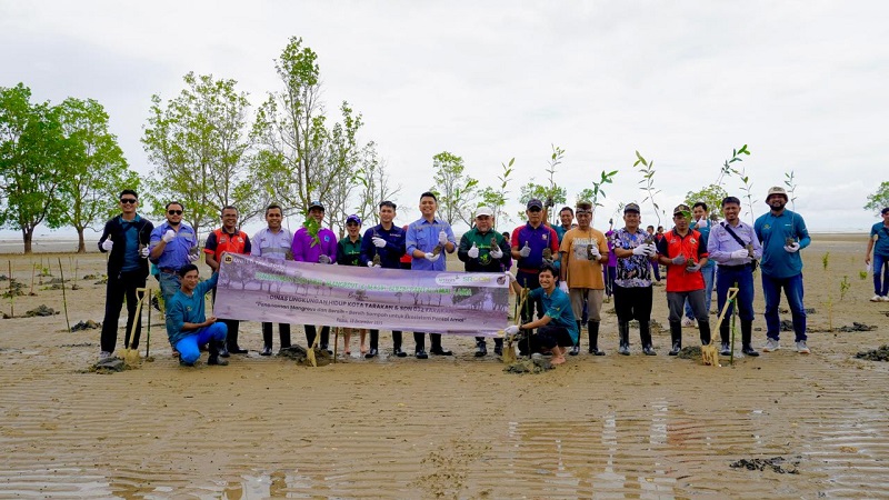 PEDULI LINGKUNGAN: PT United Tractors Tbk Cabang Tarakan bersama masyarakat menanam pohon mangrove di pantai amal lama.