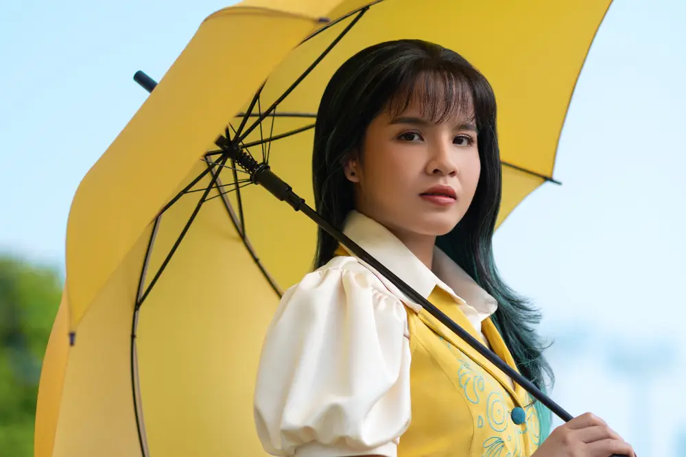 Penyanyi lagu