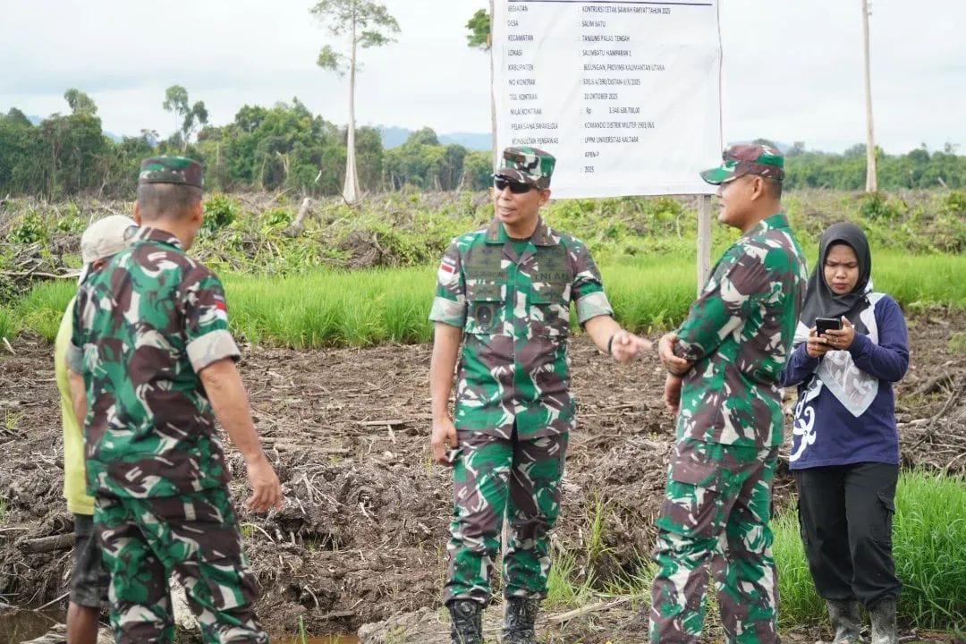 TINJAU LAPANGAN: Danrem 092/Maharajalila melakukan peninjauan progres pembangunan cetak sawah di Salimbatu.