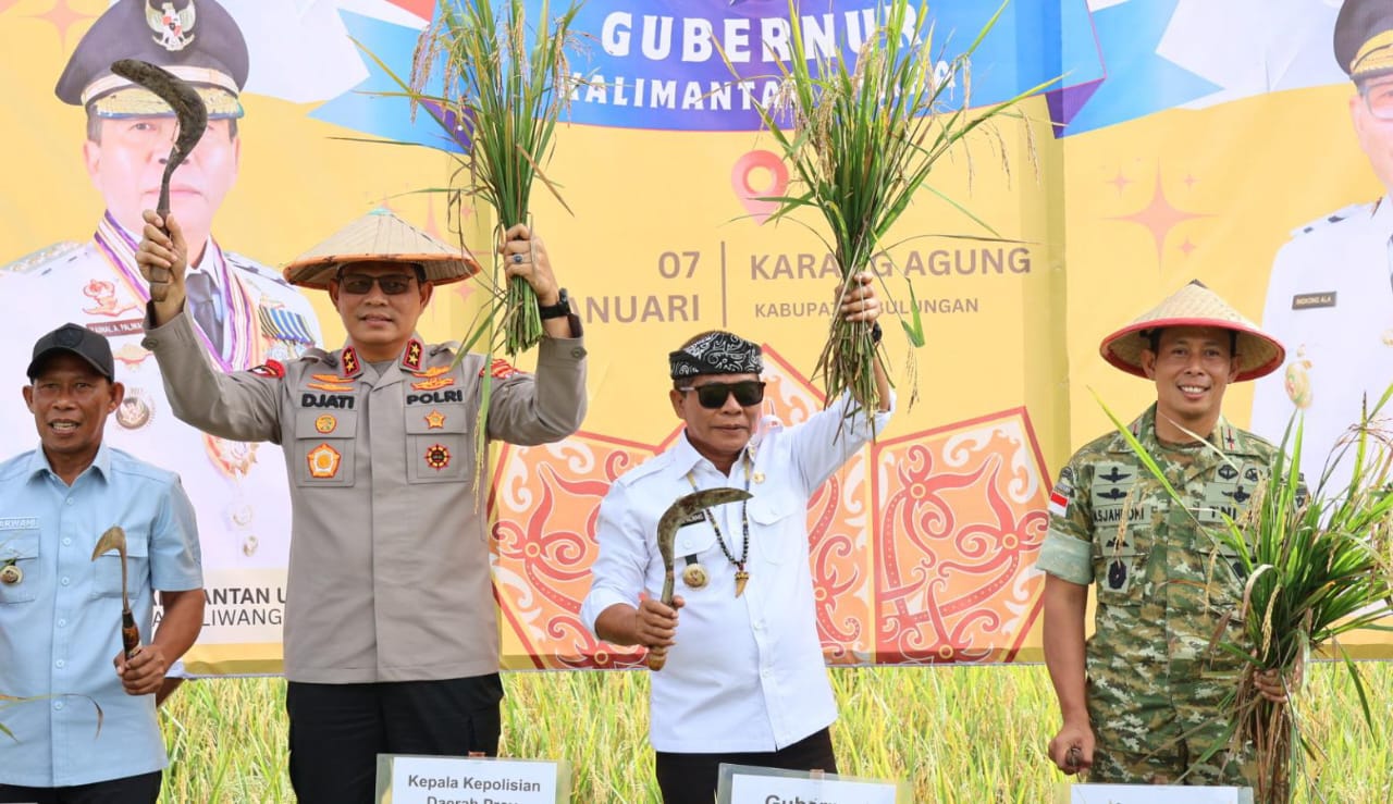 MENINGKAT: Pelaksanaan panen raya dan pengumuman swasembada pangan serentak di Kabupaten Bulungan.