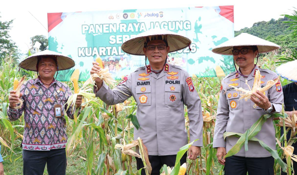 KETAHANAN PANGAN: Pelaksanaan panen raya jagung serentak di Bulungan, Kamis (8/1).