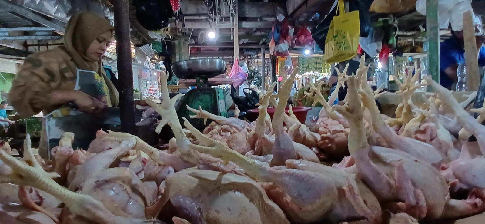 AKHIRI POLEMIK: Ilustrasi penampakan daging ayam di pasar tradisional Tarakan.