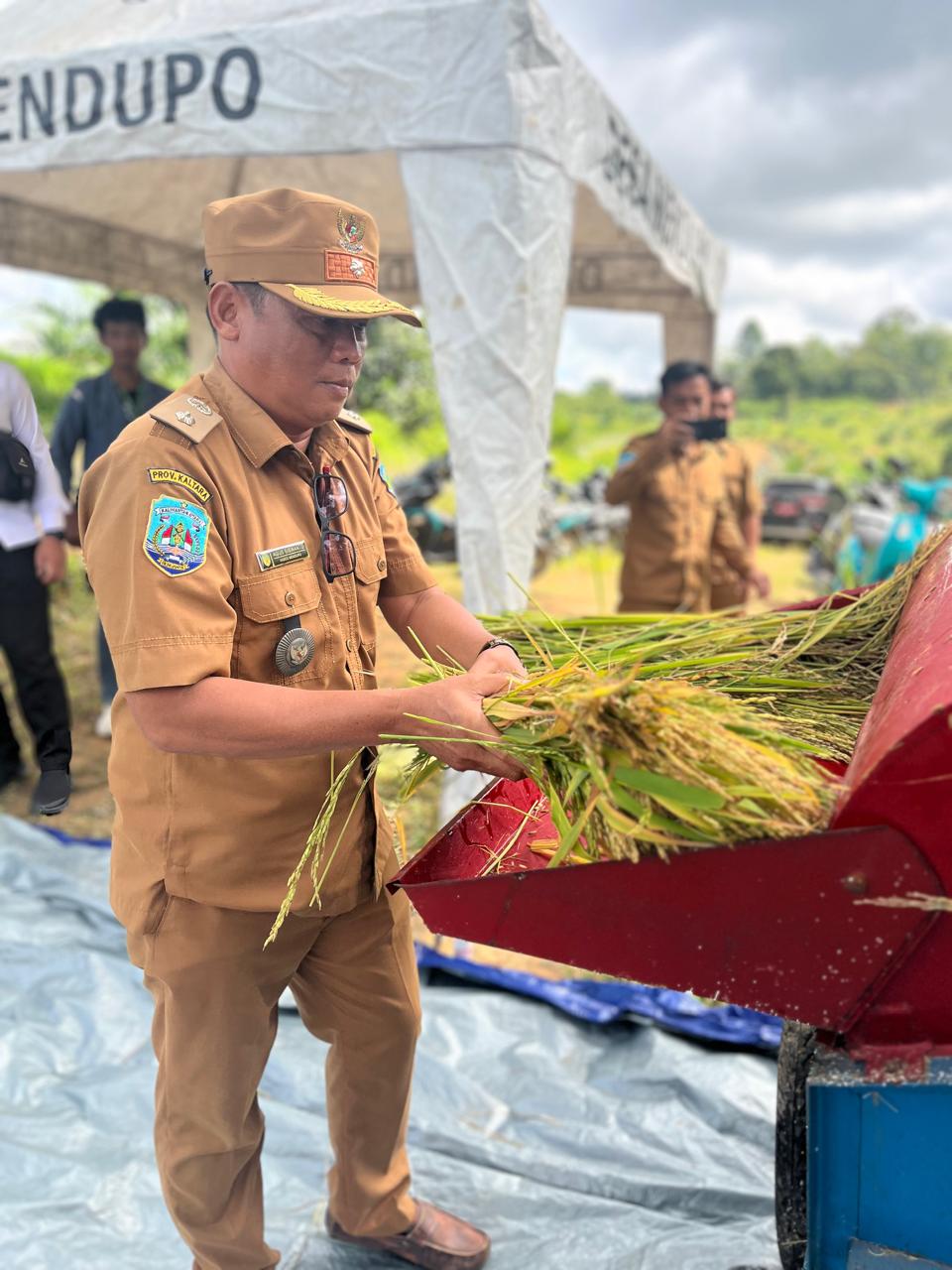 &lrm;PRODUK PERTANIAN: Kades Mendupo Agus Siswanto melakukan panen perdana padi gogo, Senin (12/1).