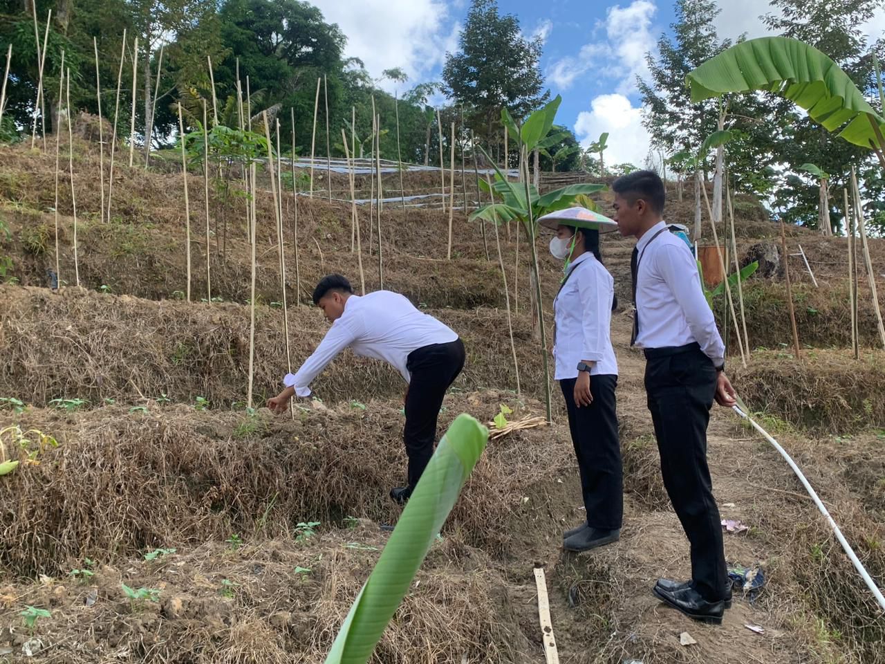 KETAHANAN PENGAN : Penguatan kemandirian dan ketahanan pangan di lingkungan pemasyarakatan dilakukan Lapas Tarakan dengan kegiatan kontrol dan perawatan tanaman kacang panjang.