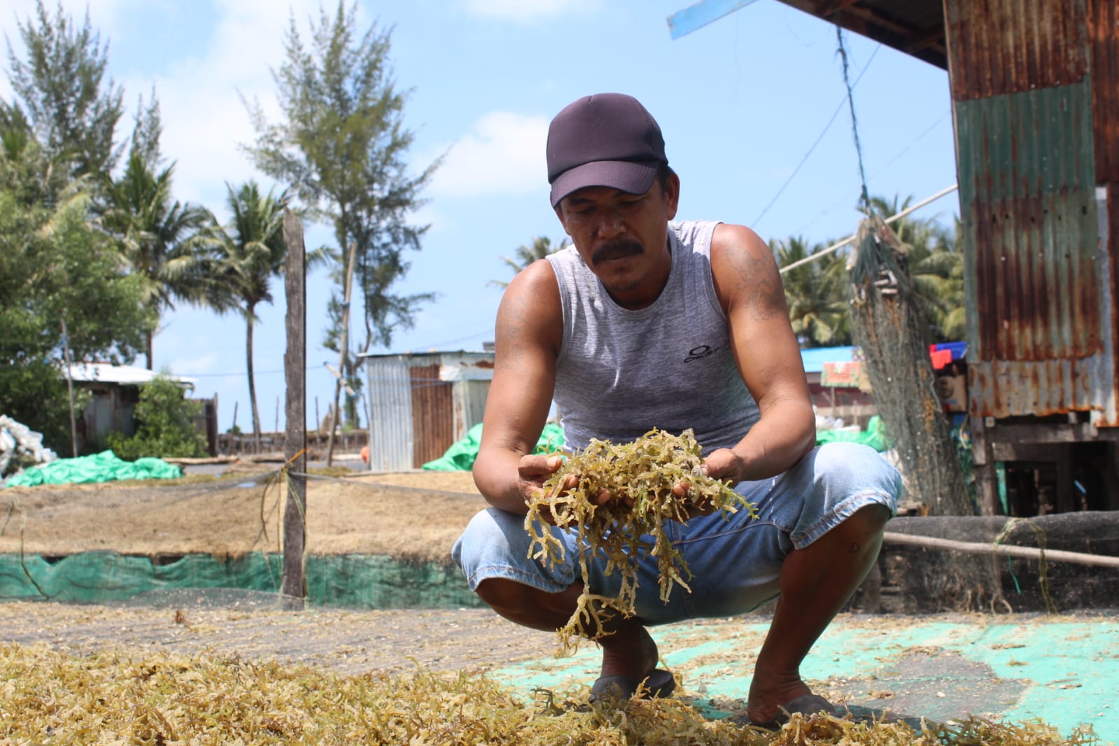 ANJLOK: Ilustrasi Petani memperlihatkan hasil panennya.