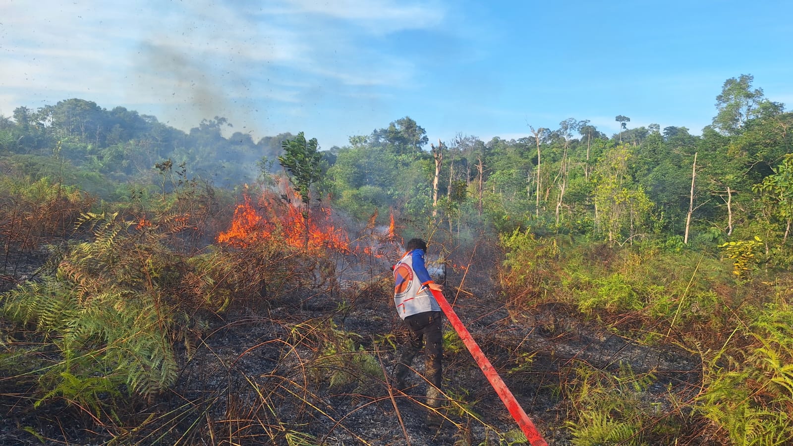 PEMADAMAN API: Petugas sedang memadamkan api karhutla di Desa Tanjung Agung, Kecamatan Tanjung Palas Timur, Bulungan, Kamis (22/1).