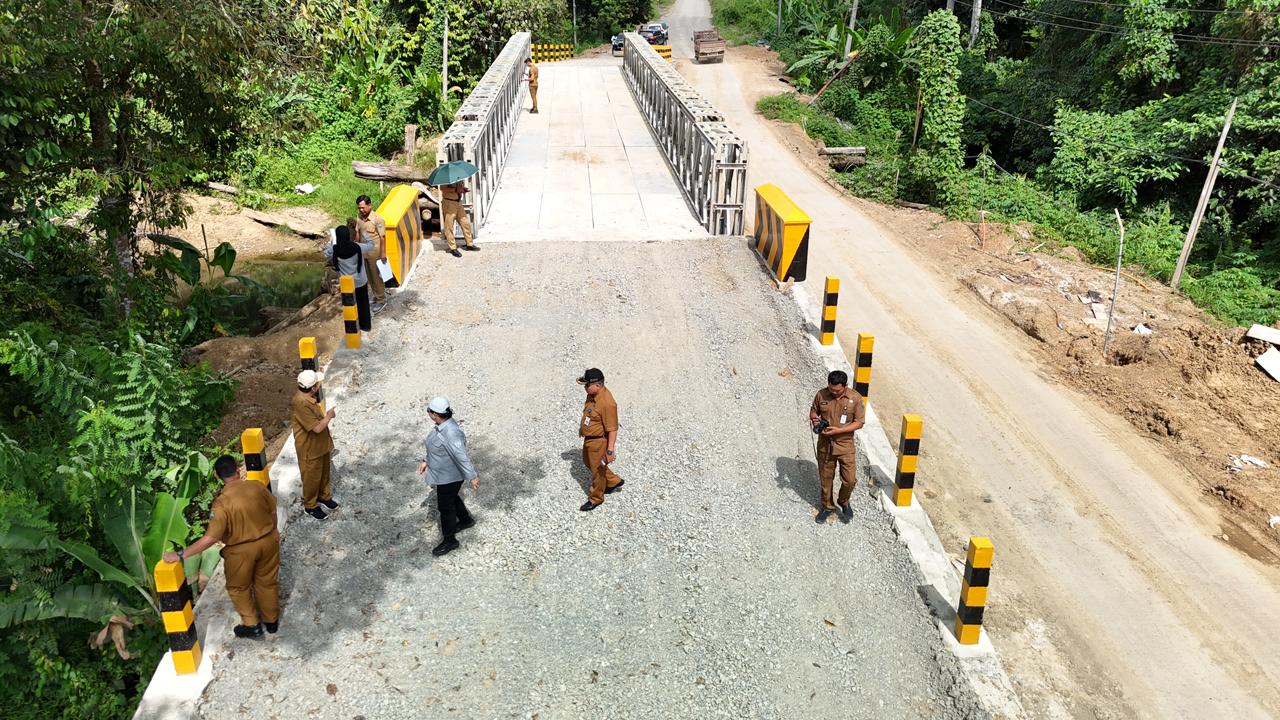 JEMBATAN: Wakil Bupati Bulungan, Kilat A.Md, meninjau pembangunan jembatan Sei Antutan, baru-baru ini.